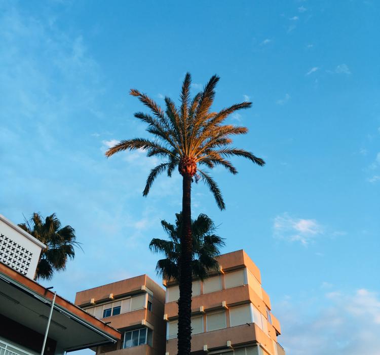 Makelaar-Gran-Canaria