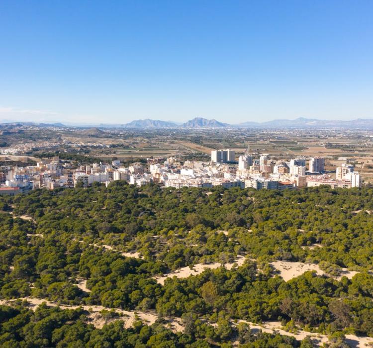 Guardamar del Segura