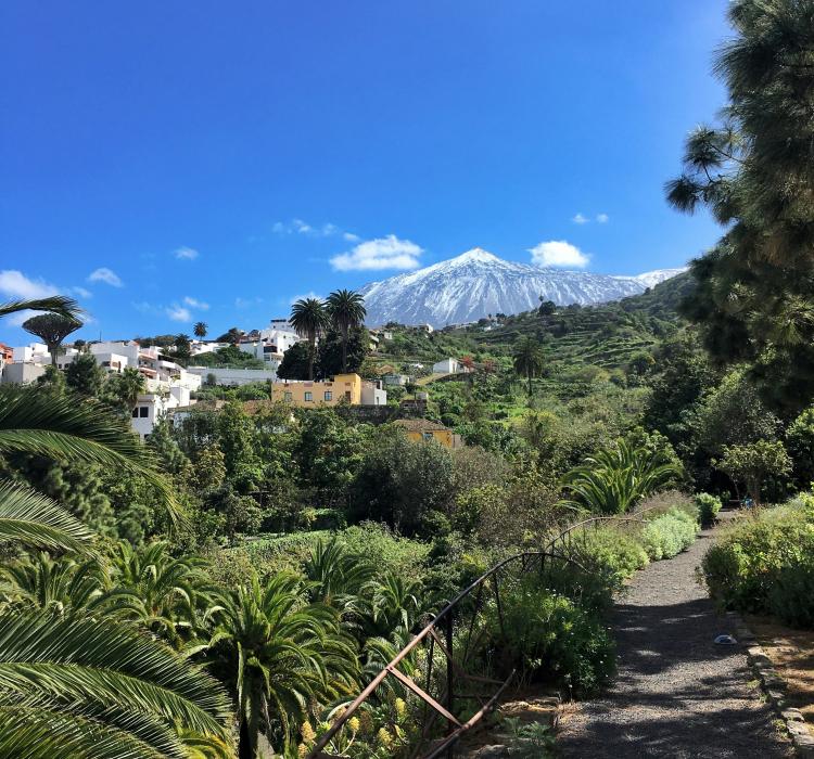 Tenerife-huis-kopen